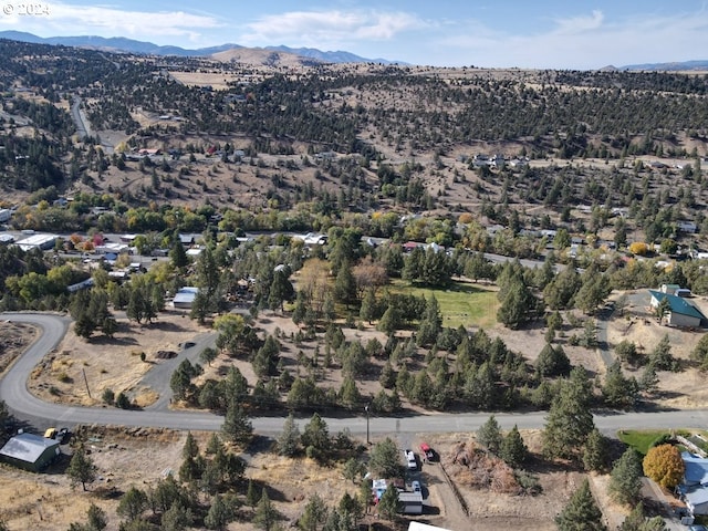 4008 Patterson Dr, Canyon City, OR 97820