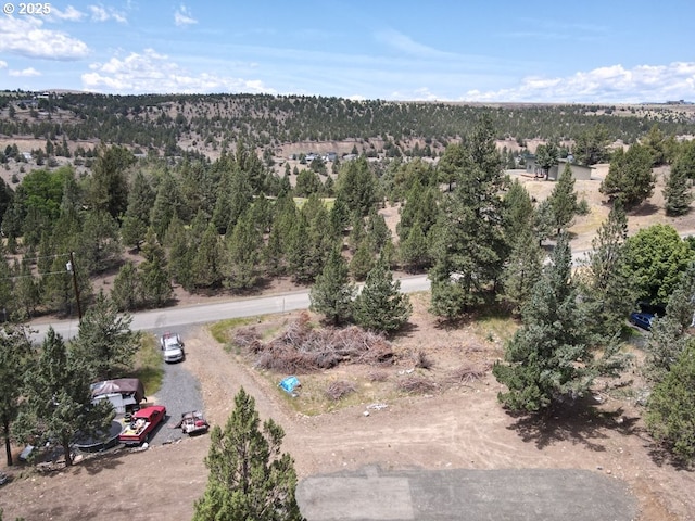4008 Patterson Dr, Canyon City, OR 97820