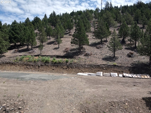 4008 Patterson Dr, Canyon City, OR 97820