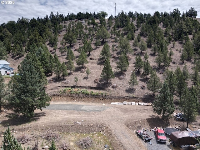 4008 Patterson Dr, Canyon City, OR 97820