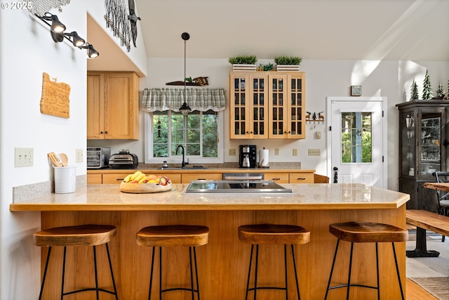 kitchen with a healthy amount of sunlight, sink, light brown cabinets, and a kitchen breakfast bar