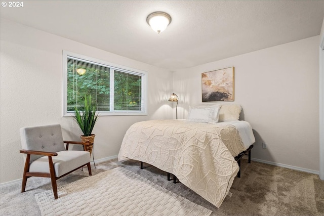 bedroom with carpet flooring