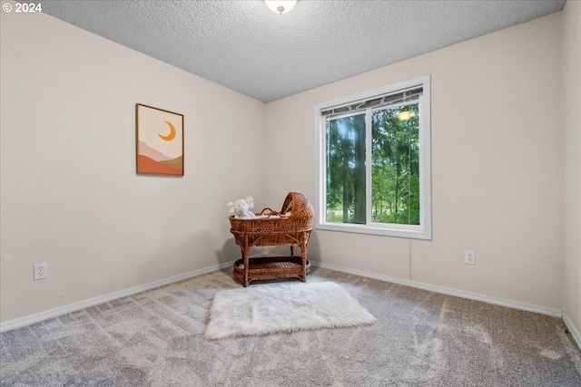 living area with a textured ceiling and carpet