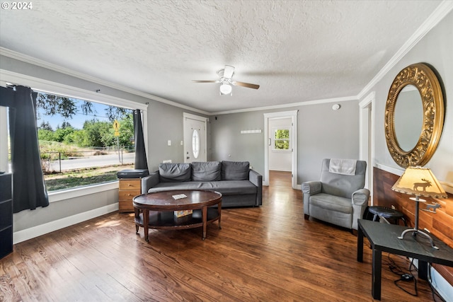 living room featuring a textured ceiling, ceiling fan, ornamental molding, and dark wood-type flooring