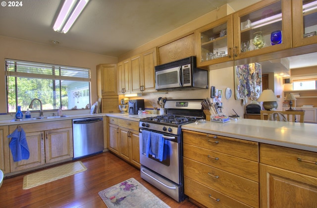 kitchen with appliances with stainless steel finishes, dark hardwood / wood-style floors, and sink