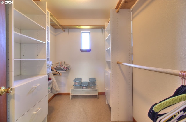 spacious closet featuring light carpet