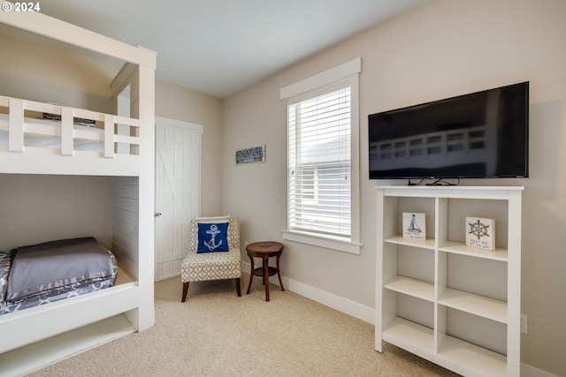 bedroom with carpet