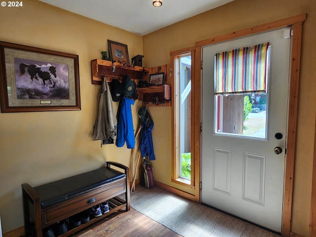 doorway with wood finished floors and a wealth of natural light