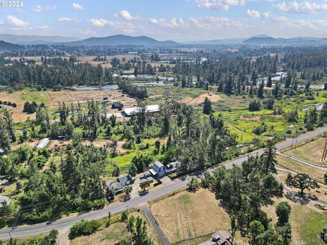 drone / aerial view with a mountain view