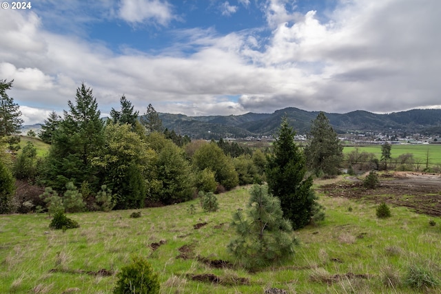 1955 Weaver Rd, Myrtle Creek OR, 97457 land for sale