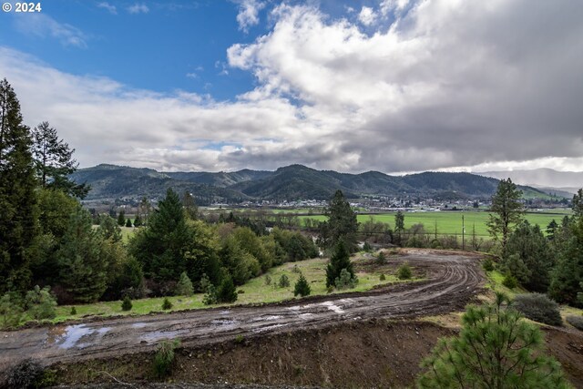 1955 Weaver Rd, Myrtle Creek, OR 97457