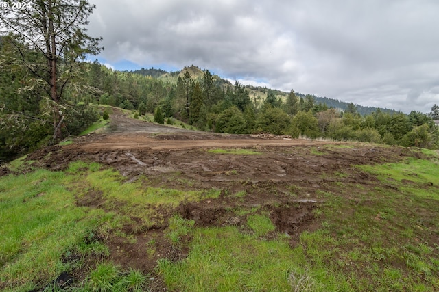 1955 Weaver Rd, Myrtle Creek, OR 97457