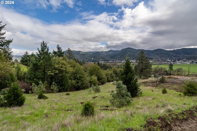 1955 Weaver Rd, Myrtle Creek, OR 97457