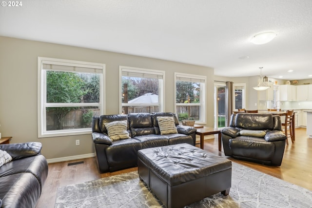 living room featuring a healthy amount of sunlight and light hardwood / wood-style floors