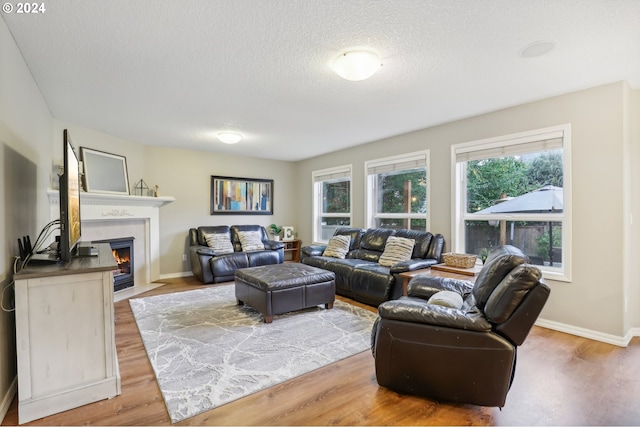 living room featuring hardwood / wood-style flooring and a textured ceiling