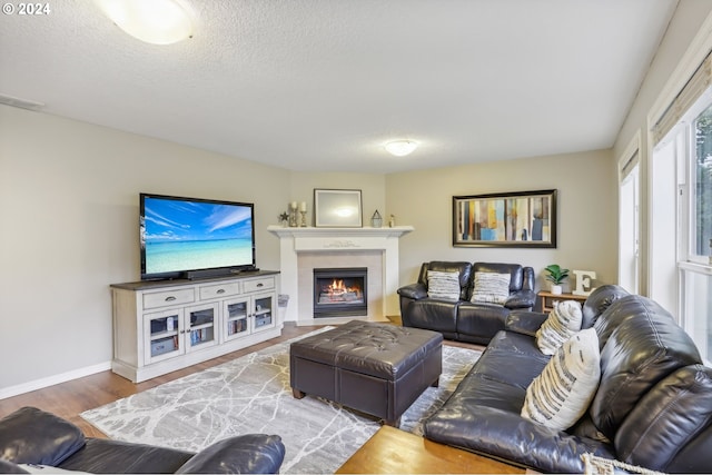 living room with wood-type flooring and a textured ceiling