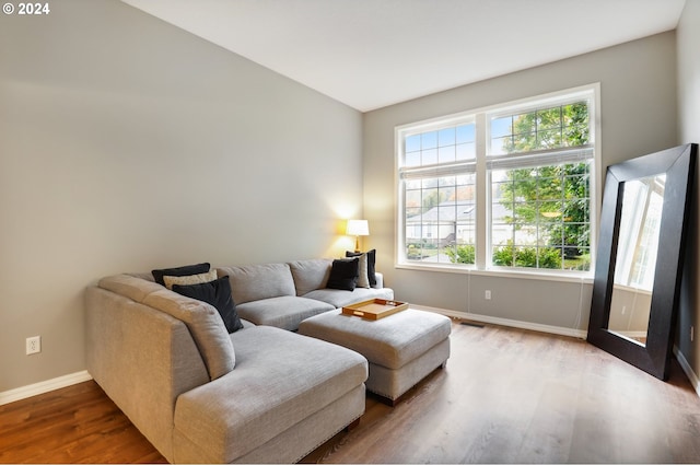 living room with wood-type flooring