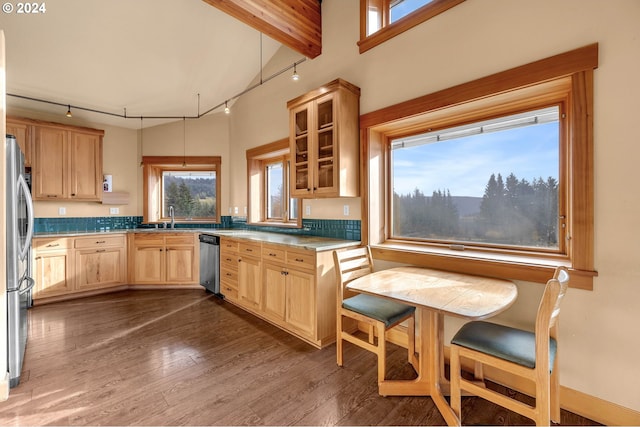 kitchen featuring beam ceiling, light brown cabinets, rail lighting, stainless steel appliances, and dark wood-type flooring