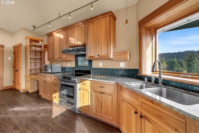 kitchen with sink, dark wood-type flooring, stainless steel appliances, pendant lighting, and exhaust hood