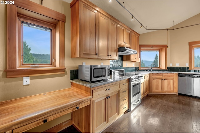 kitchen featuring dark hardwood / wood-style flooring, stainless steel appliances, extractor fan, vaulted ceiling, and hanging light fixtures