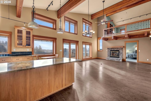 kitchen with pendant lighting, a healthy amount of sunlight, dark wood-type flooring, and track lighting