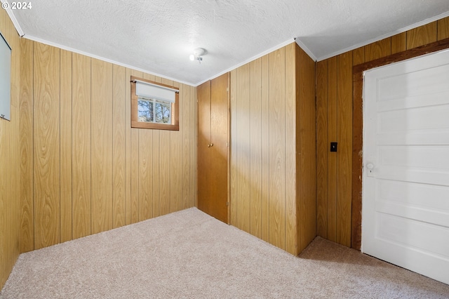 unfurnished room featuring wood walls, a textured ceiling, and carpet floors