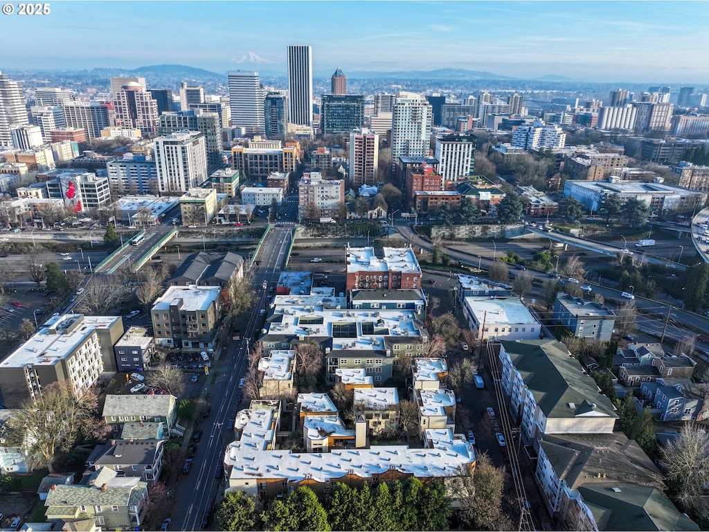 property's view of city with a mountain view