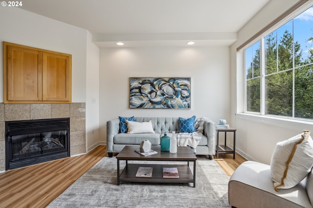 living room featuring a fireplace, light hardwood / wood-style floors, and plenty of natural light