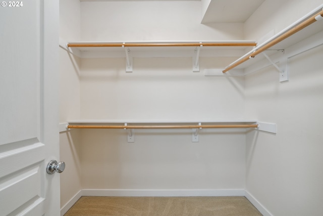 walk in closet featuring carpet floors