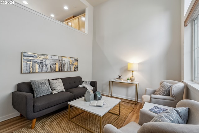 living room with a high ceiling and light hardwood / wood-style flooring