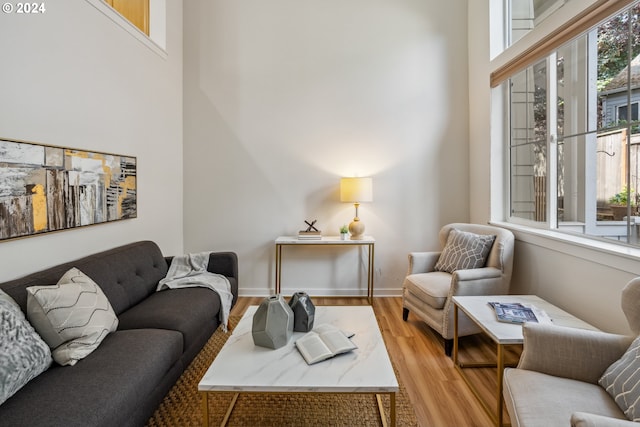 living room featuring light hardwood / wood-style flooring