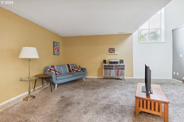 sitting room with carpet and a textured ceiling