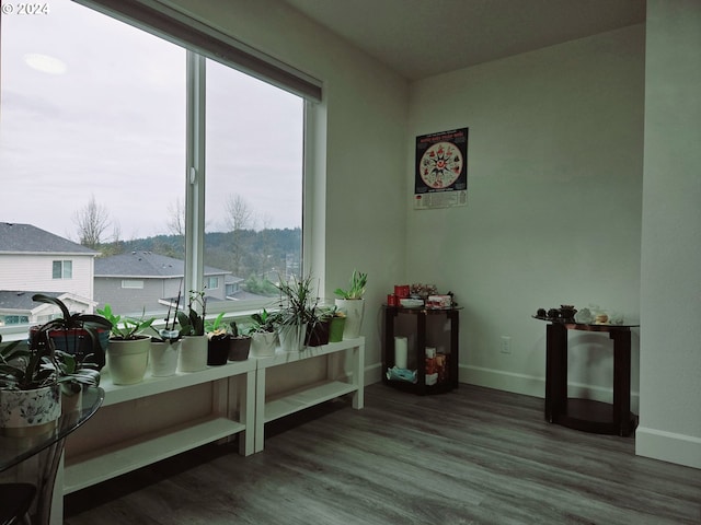 sitting room featuring wood-type flooring