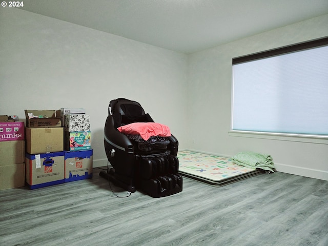 bedroom with hardwood / wood-style flooring