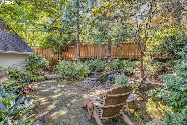 view of yard with a patio area