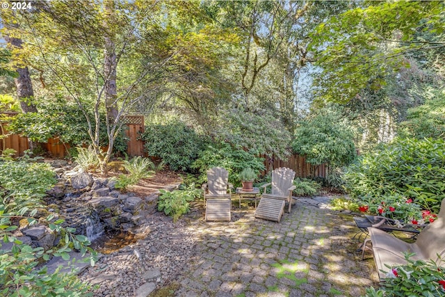 view of yard featuring a patio