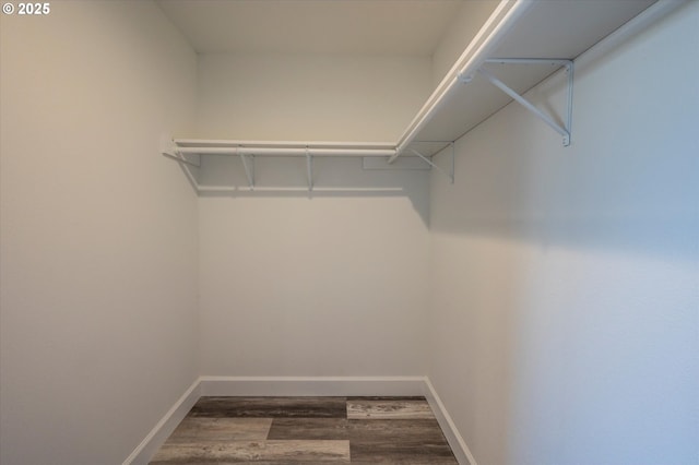 spacious closet featuring dark wood-type flooring