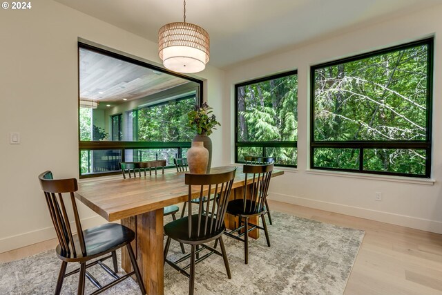 dining space featuring a healthy amount of sunlight and light wood-type flooring