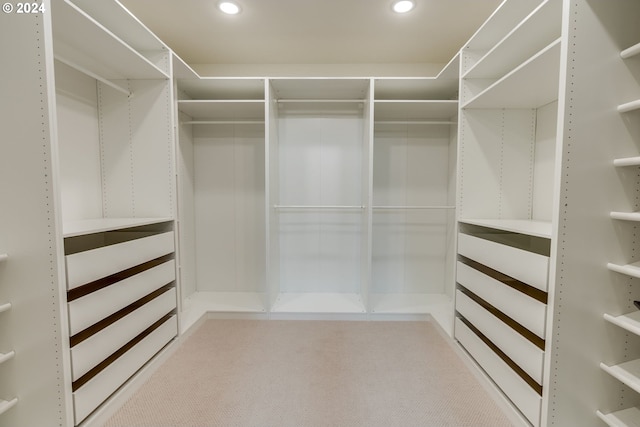 spacious closet featuring light colored carpet