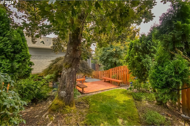 view of yard featuring a deck