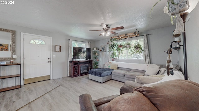 living room featuring ceiling fan, light wood-type flooring, and a textured ceiling