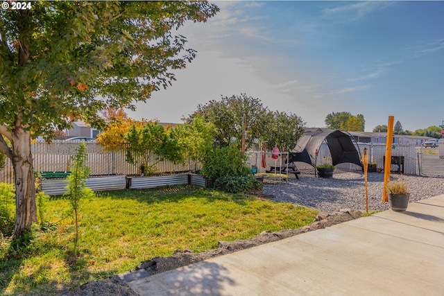 view of yard featuring a patio