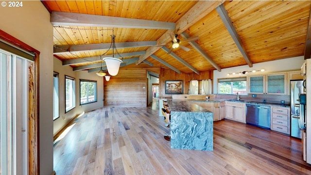 kitchen with dishwasher, wood walls, plenty of natural light, and hanging light fixtures