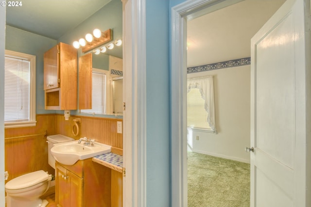 bathroom featuring vanity, wood walls, and toilet