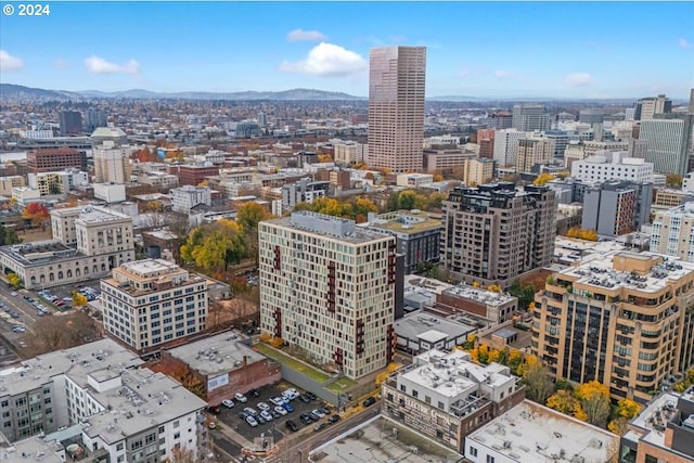 property's view of city featuring a mountain view