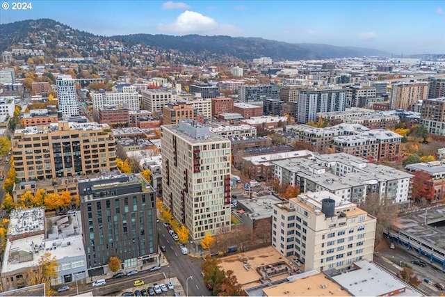 property's view of city with a mountain view