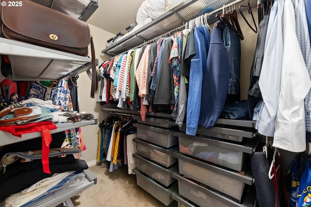 spacious closet featuring light colored carpet