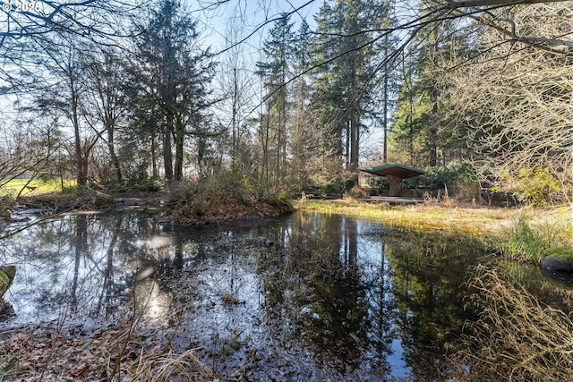 view of water feature