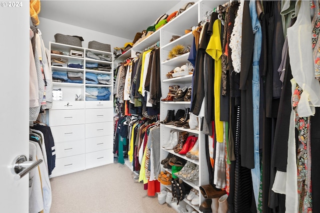 spacious closet with light colored carpet