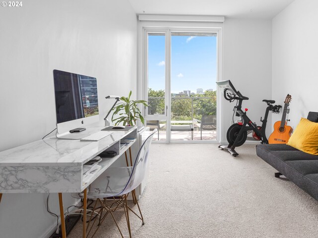 office with carpet floors